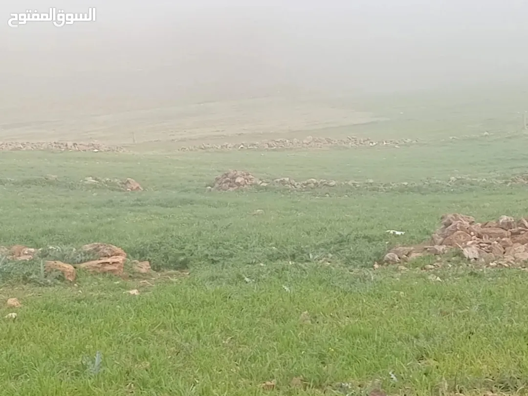 أرض مميزة للبيع في المفرق
