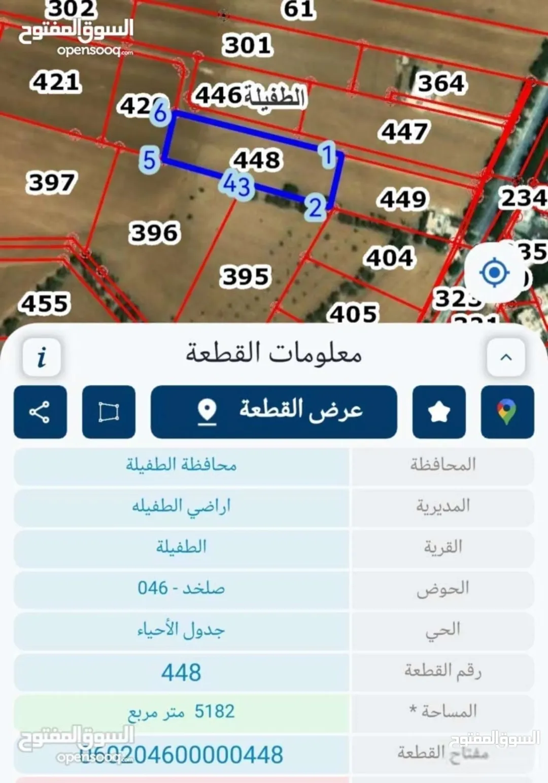أرض مميزة للبيع في منطقة العيص بالطفيلة