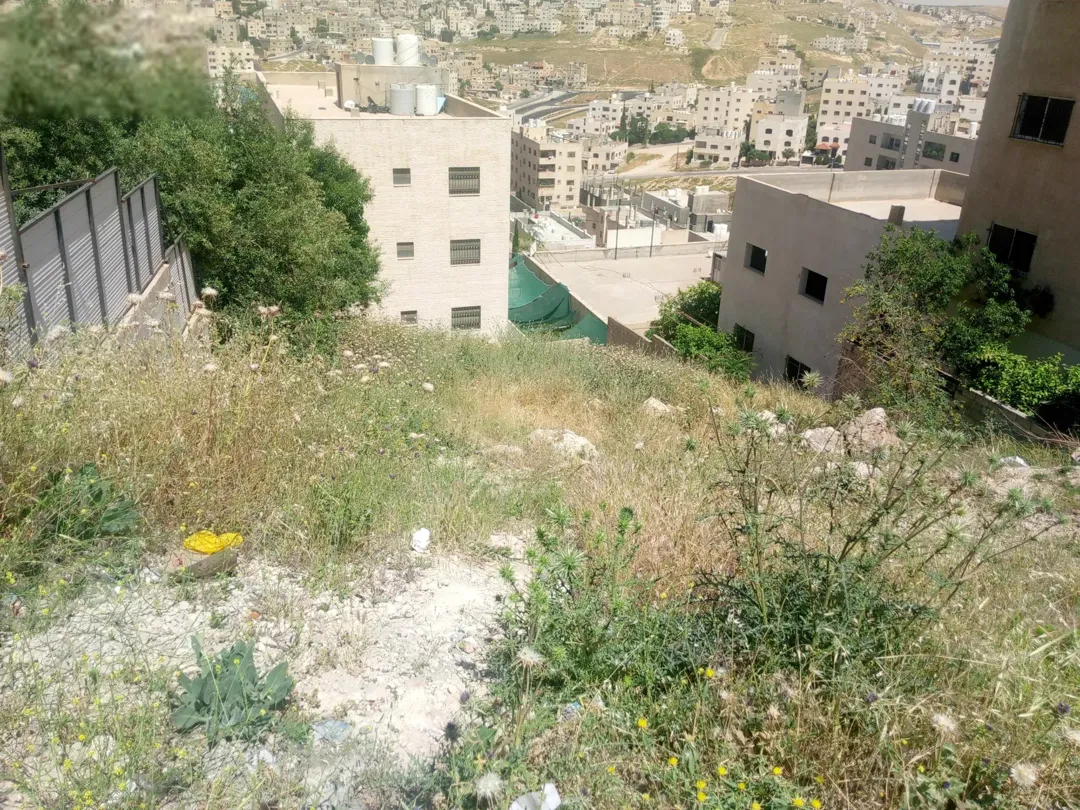 أرض سكنية مميزة للبيع في حي عدن – عمان