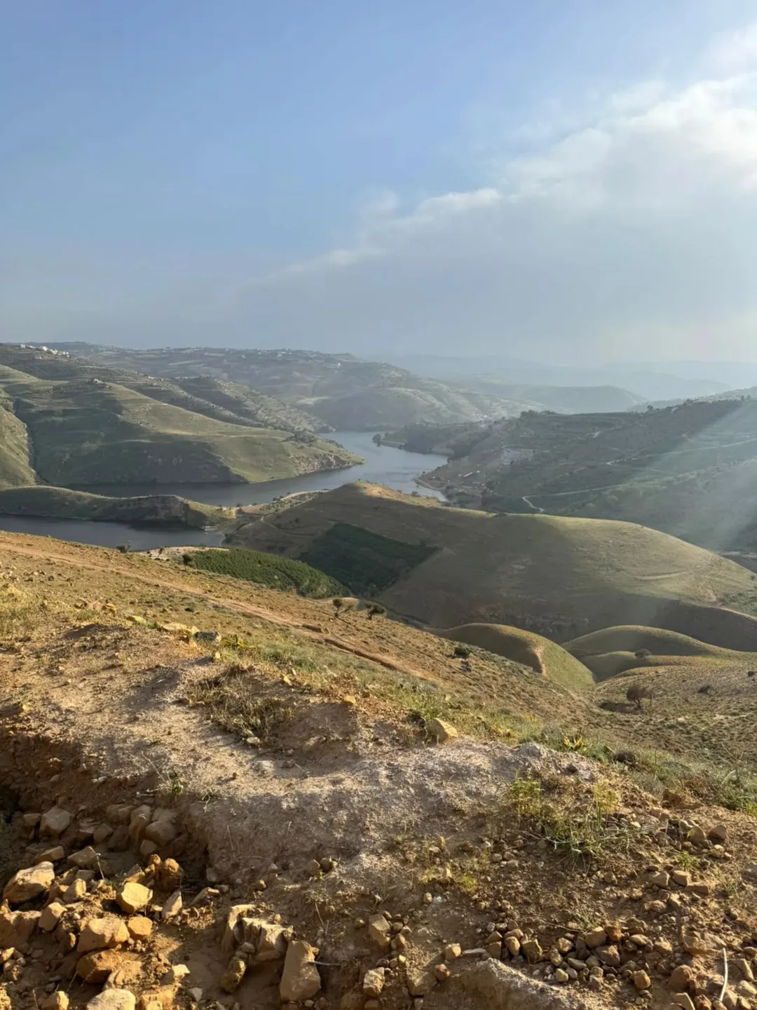 أرض مميزة للبيع في المجدل، جرش