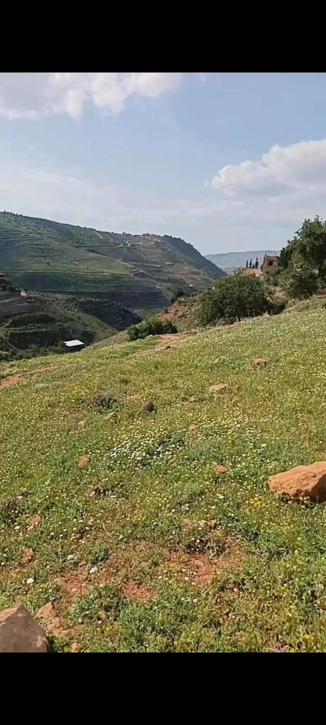 أرض زراعية للبيع في الصبيحي – السلط