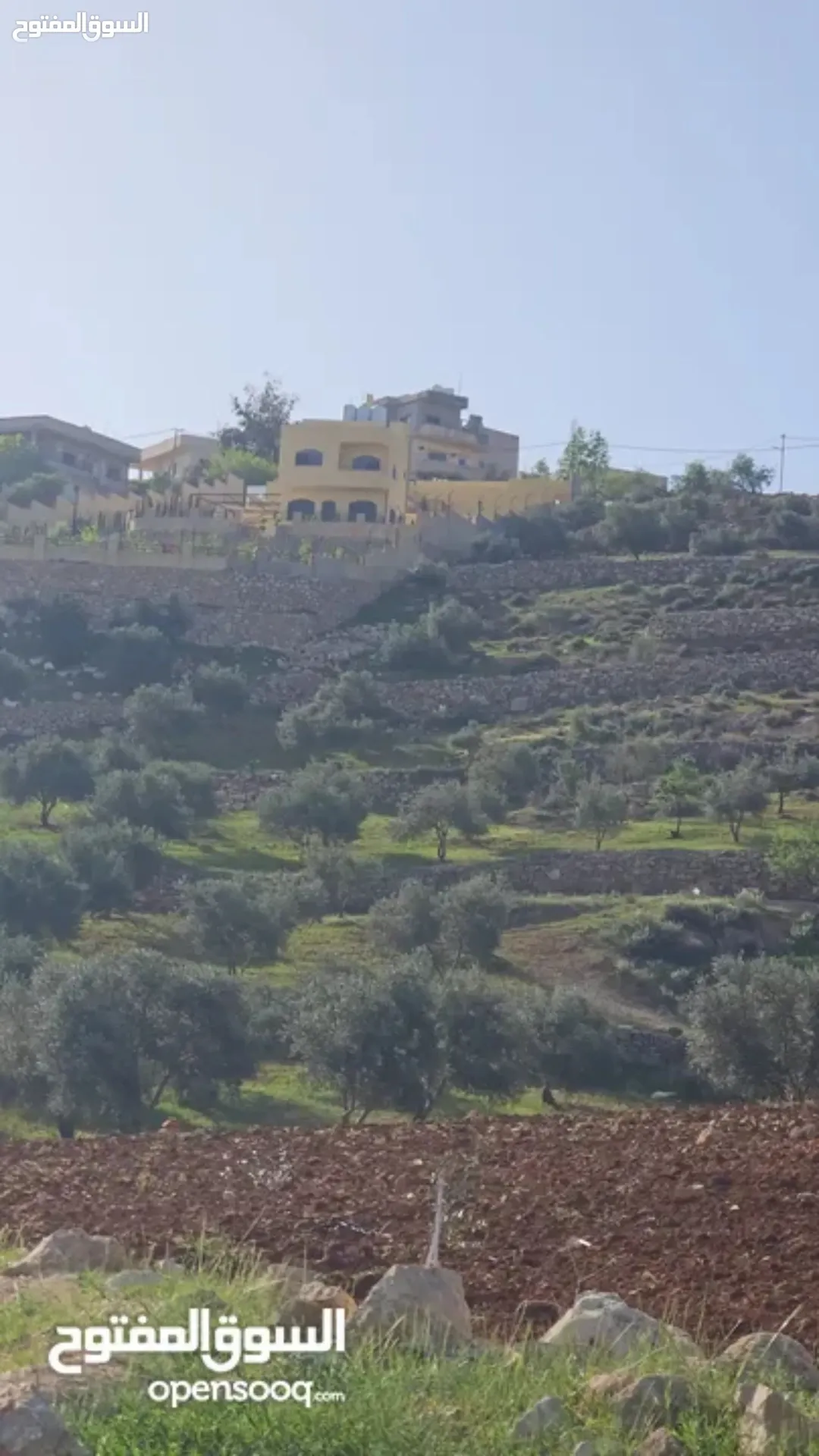 مزرعة مميزة للبيع في منطقة مرصع بمساحة دونمين وبيت ريفي دوبلكس