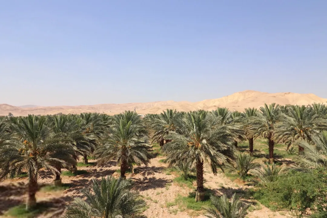 شالية جديد فاخر للبيع في اقرب و ارقى مناطق الغور