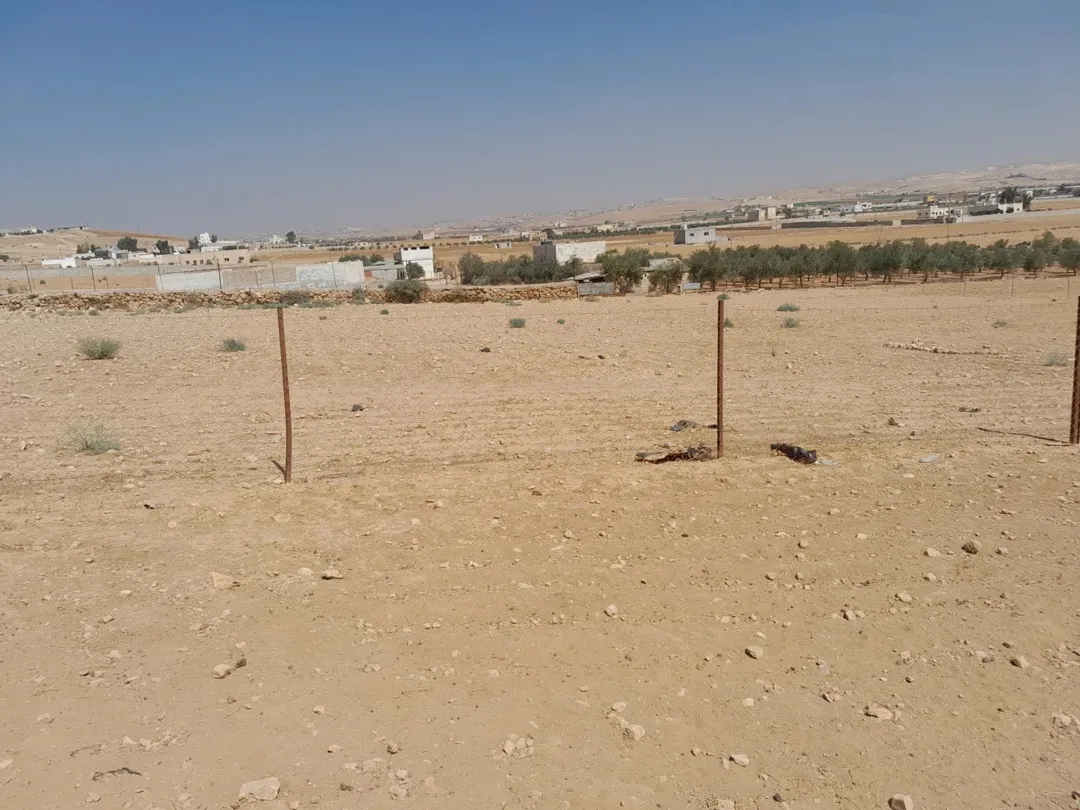 أرض للبيع في منطقة الزيتونة