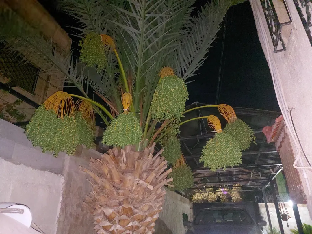 بيت مستقل للبيع في الزرقاء الجديدة بمساحة أرض واسعة