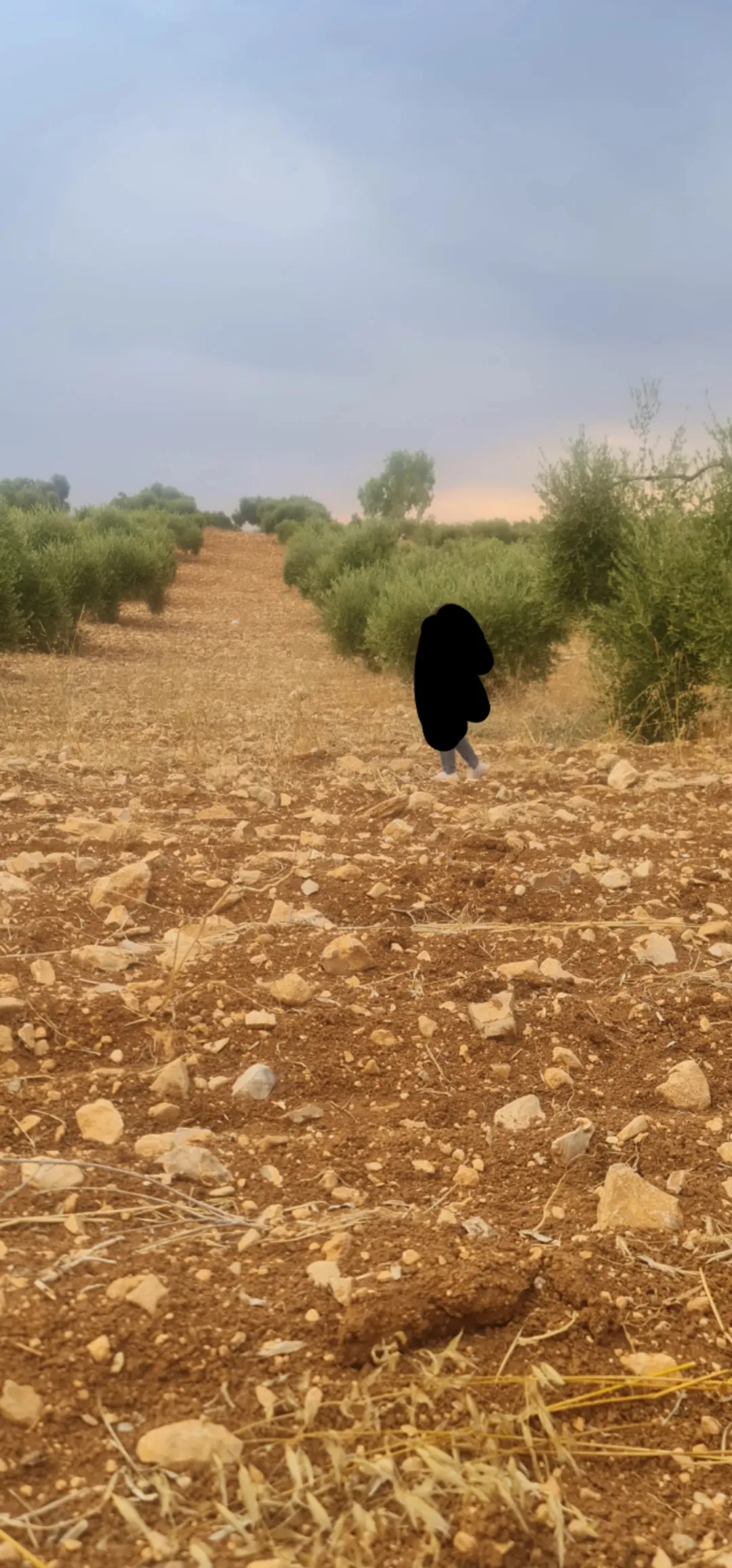 ارض للبيع في حرثا