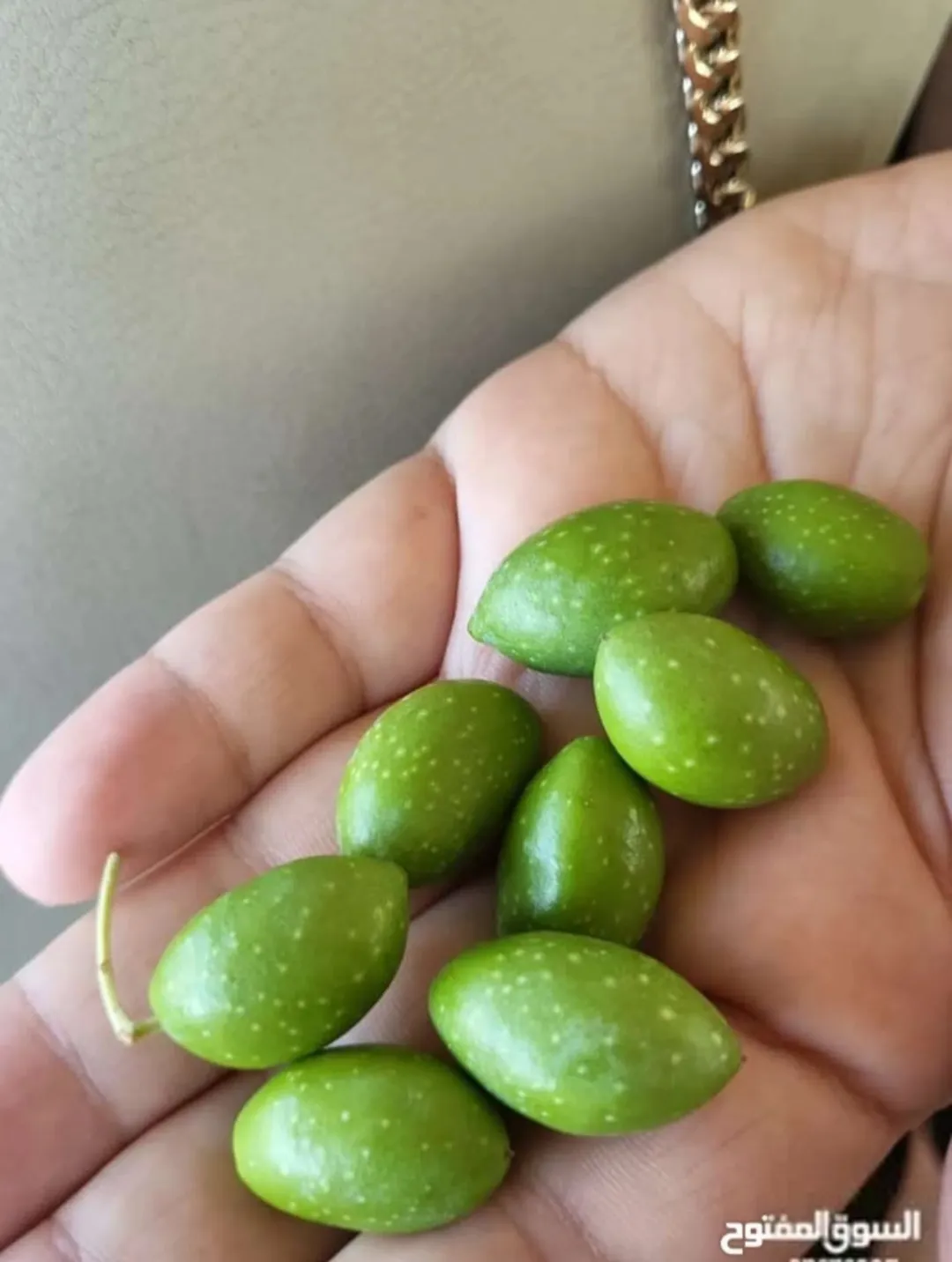 أرض زراعية مميزة للبيع في عجلون