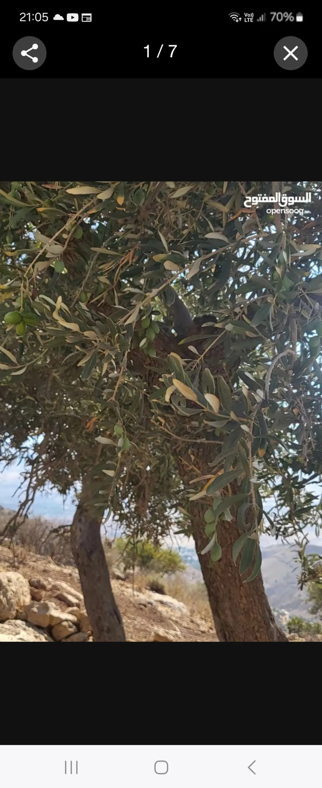 أرض زراعية مميزة للبيع في عجلون
