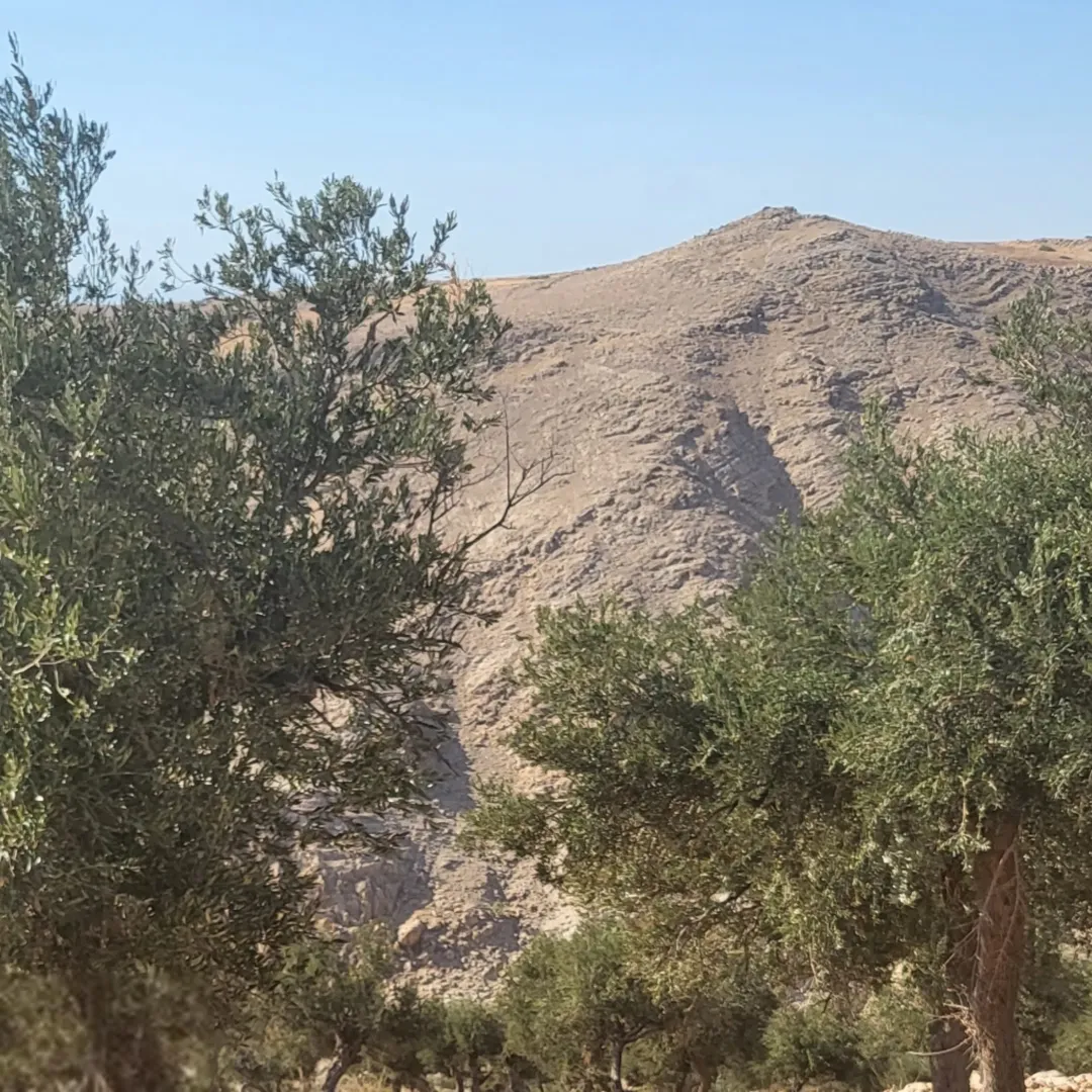 أرض زراعية مميزة للبيع في عجلون