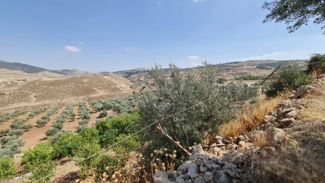 مزرعة ريفية مميزة مع فيلا للبيع