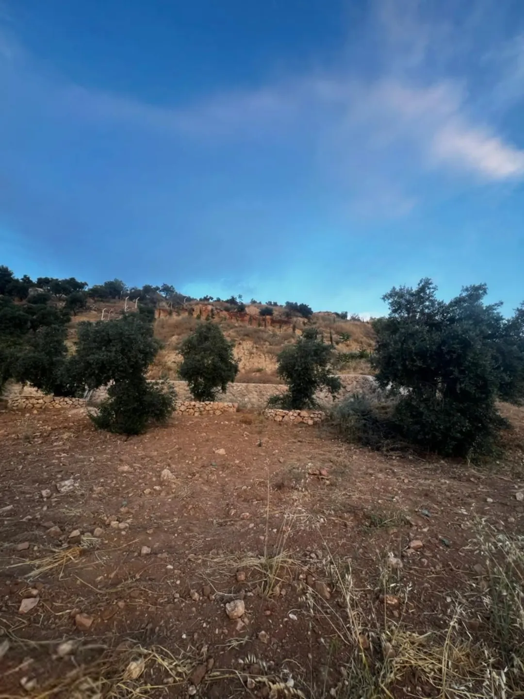 قطعة أرض مميزة للبيع في أراضي غرب عمّان باطلاله دائمه