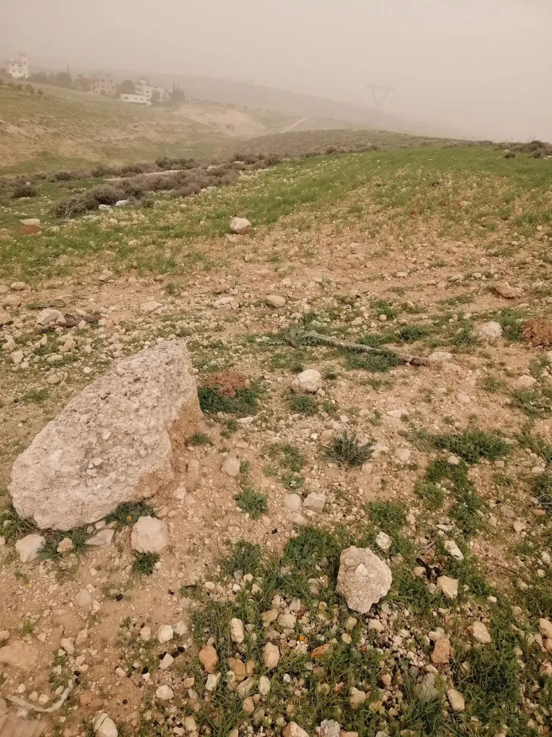 أرض للبيع في منطقة صروت شمال عمان بالقرب من شفا بدران
