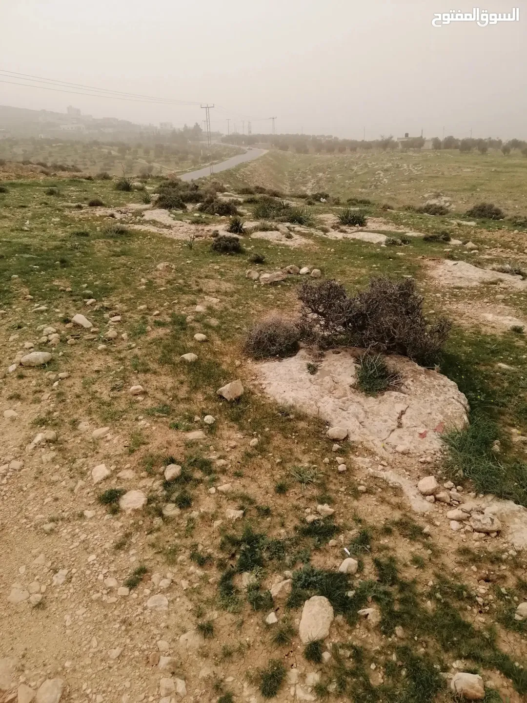 أرض للبيع في منطقة صروت شمال عمان بالقرب من شفا بدران