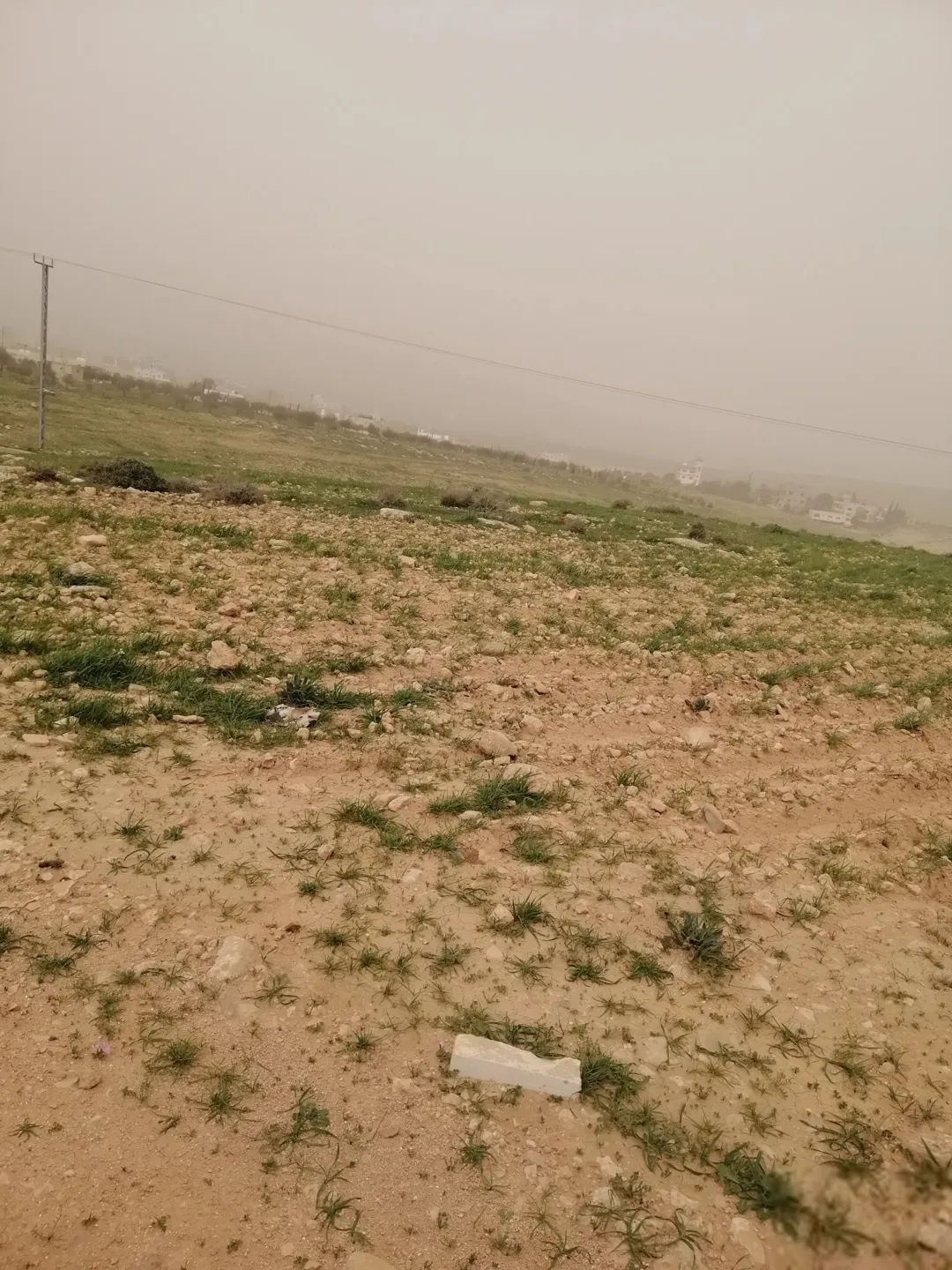 أرض للبيع في منطقة صروت شمال عمان بالقرب من شفا بدران