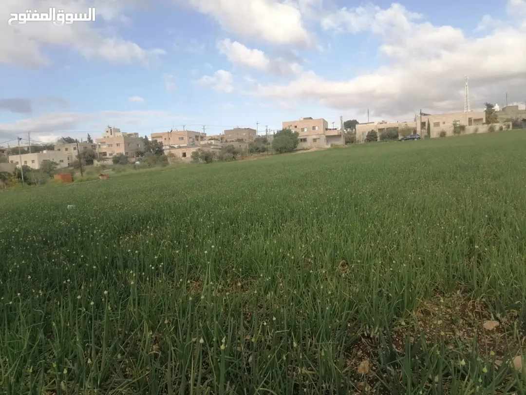 أرض زراعية وسكنية للبيع في إربد – دير السعنة