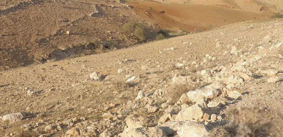 6642 م في جريبا حوض المدق فقط 59000 و قابل للجادين