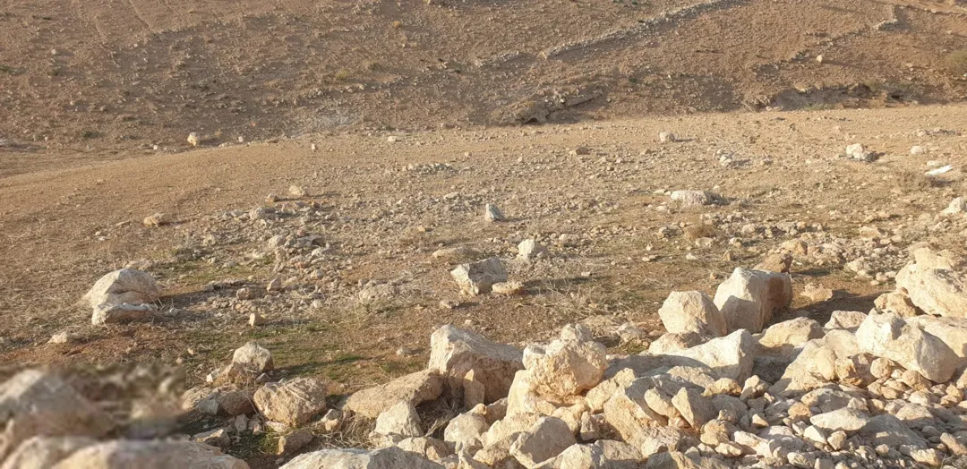 6642 م في جريبا حوض المدق فقط 59000 و قابل للجادين