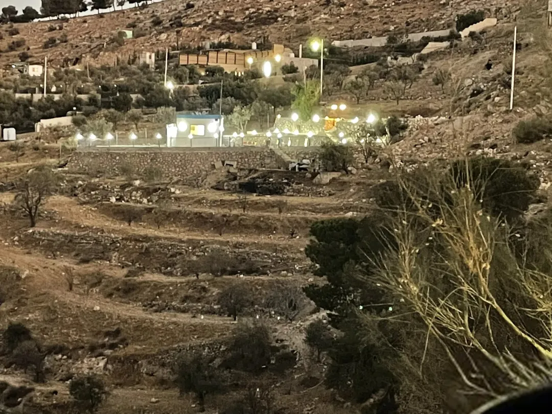 قطعة أرض زراعية مميزة في العويلية
