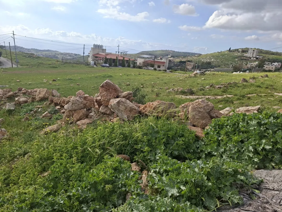 السلط اخر بطنا دونم قوشان مستقل