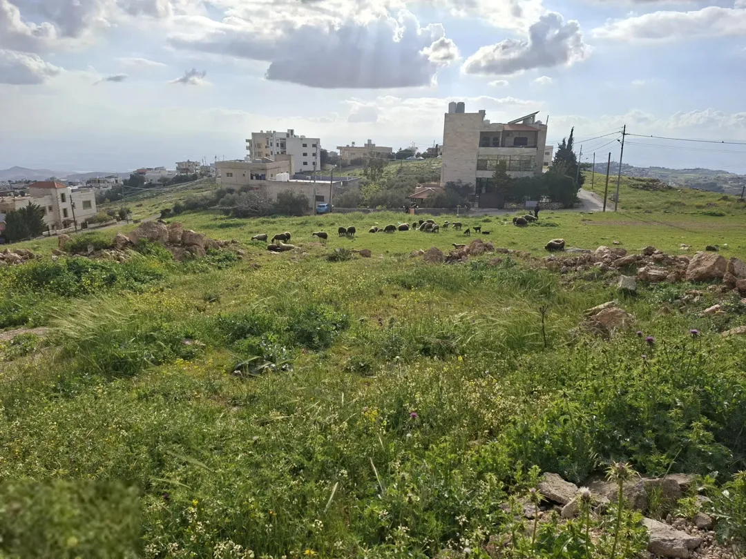 السلط اخر بطنا دونم قوشان مستقل