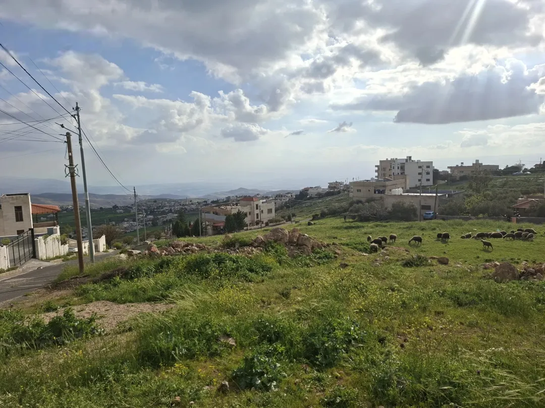 السلط اخر بطنا دونم قوشان مستقل