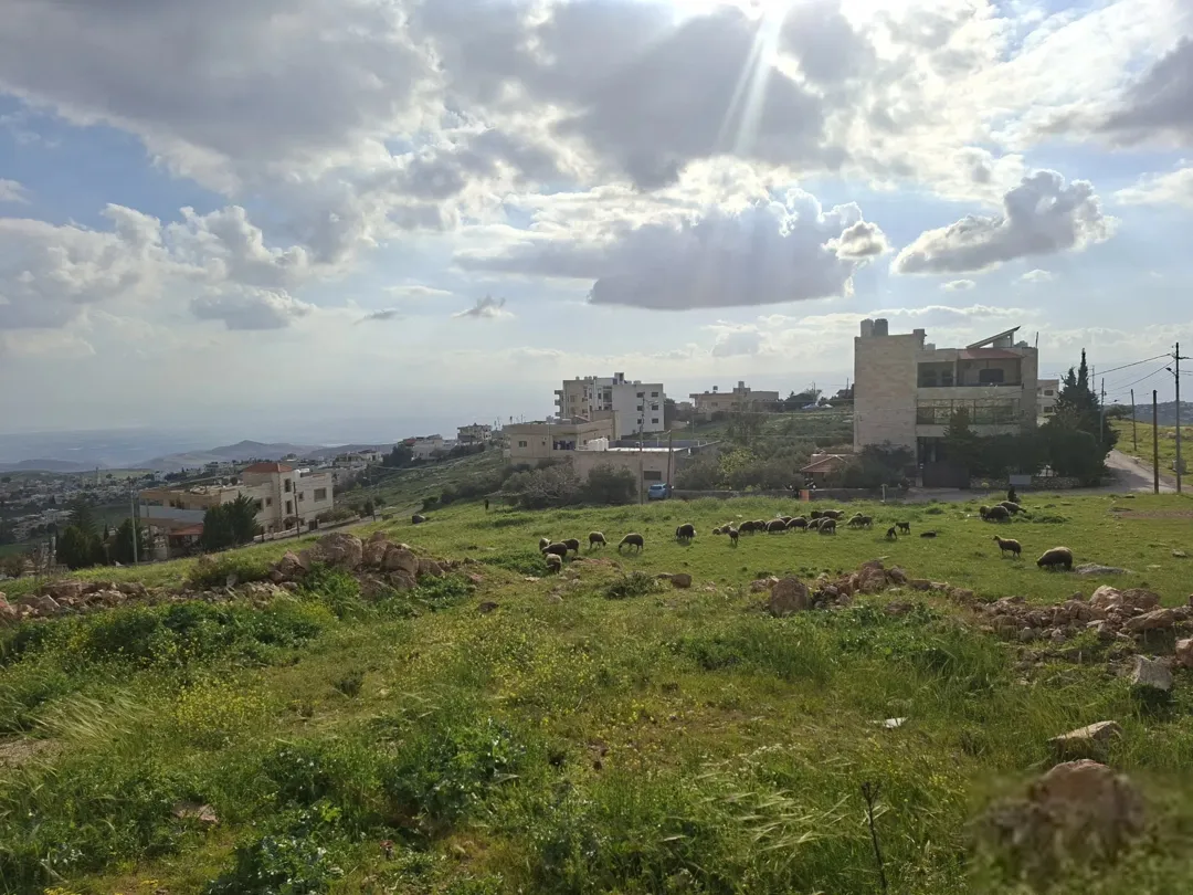 السلط اخر بطنا دونم قوشان مستقل