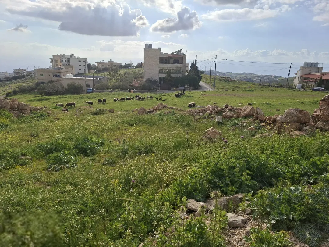 السلط اخر بطنا دونم قوشان مستقل