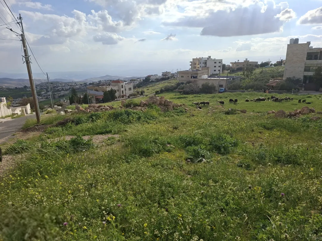 السلط اخر بطنا دونم قوشان مستقل