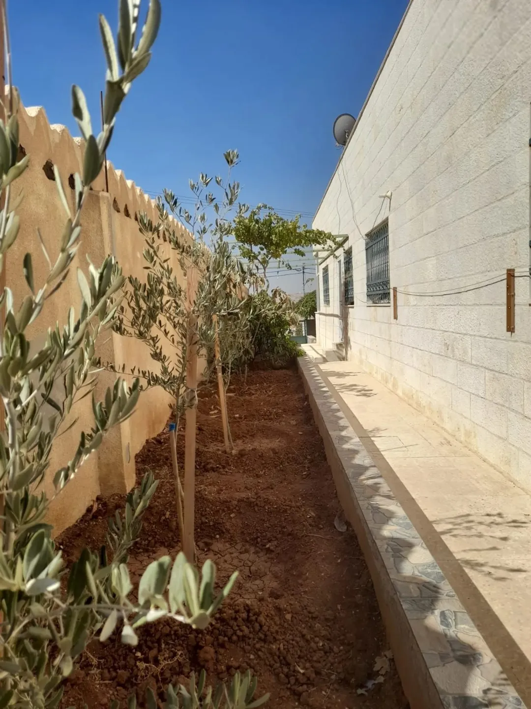 بيت مستقل في منطقة البيضاء