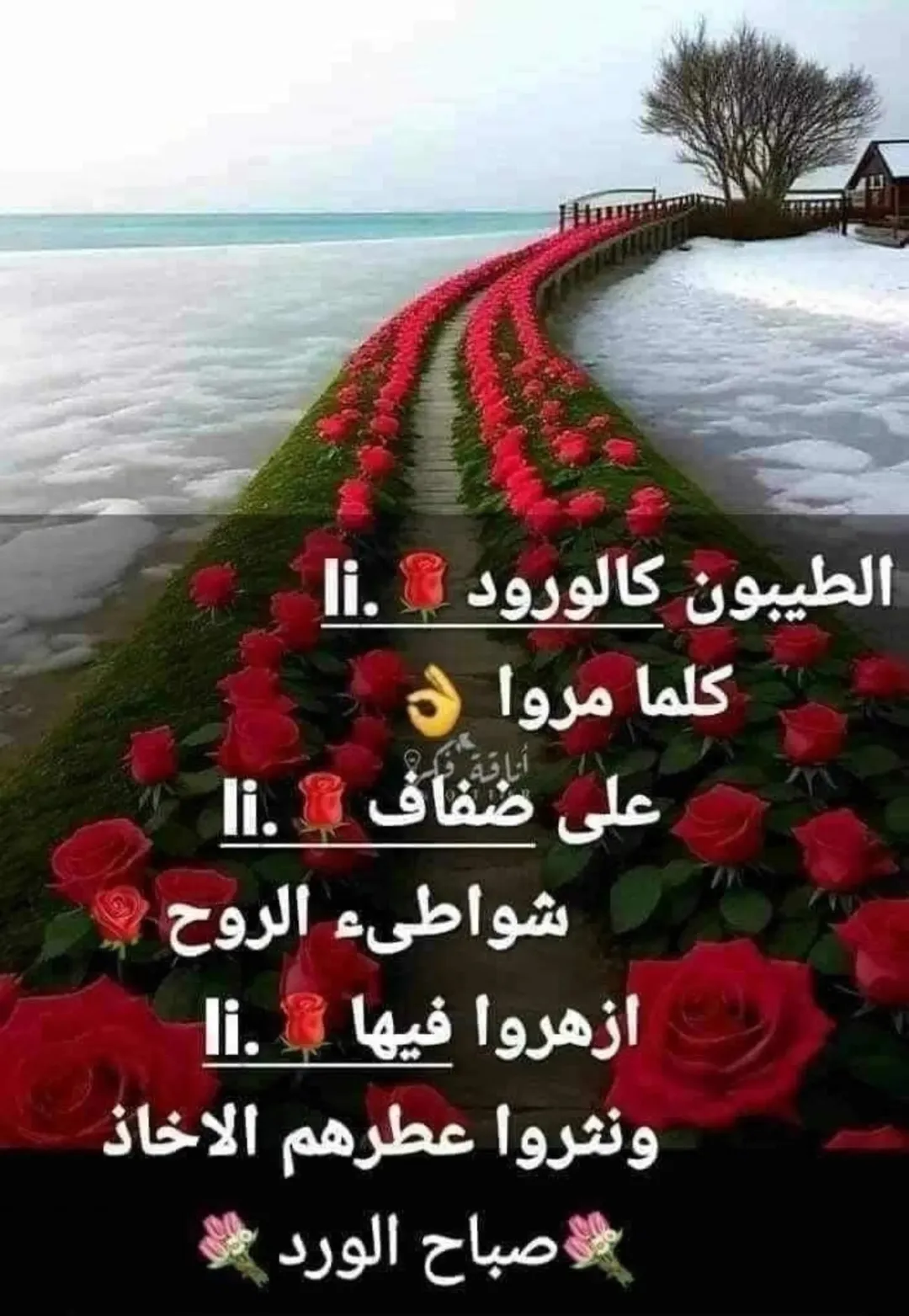 مجمع تجاري حديث في الزرقاء – تشطيبات فاخرة