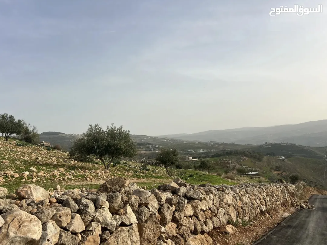 ارض للبيع في جرش النبي هود الرشايدة مقابل جامعة جرش الجديدة