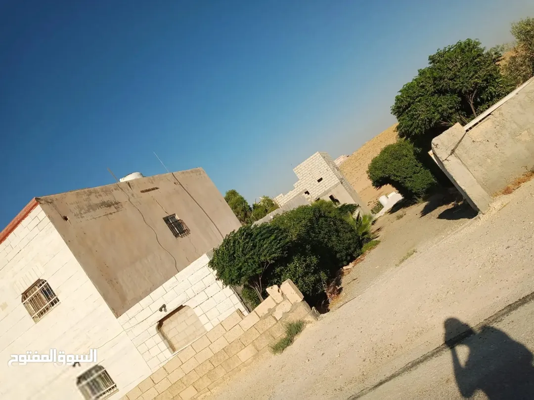 للبيع لقطه