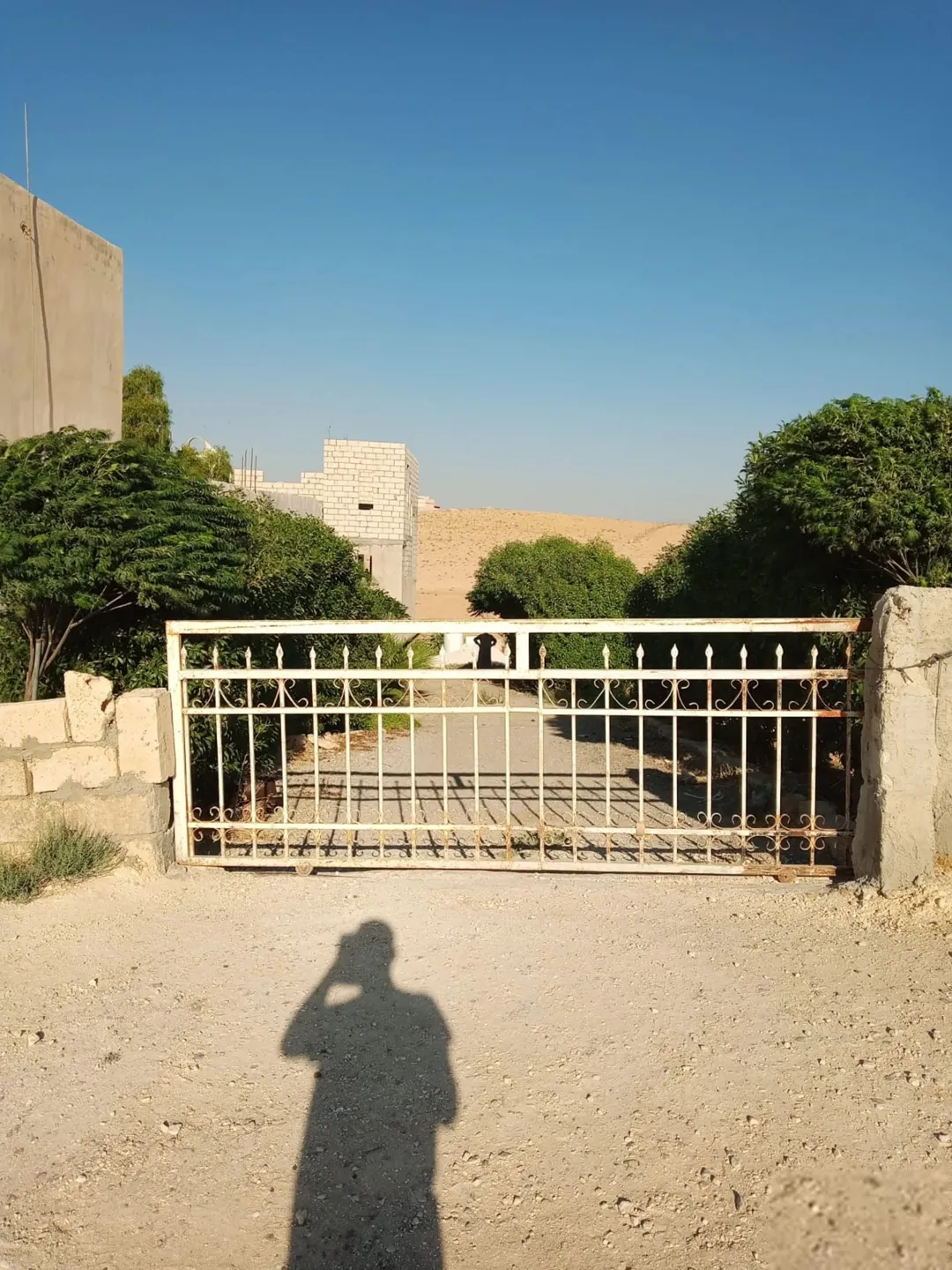 للبيع لقطه