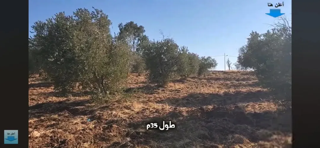 أرض للبيع في مادبا – منطقة الفيصلية