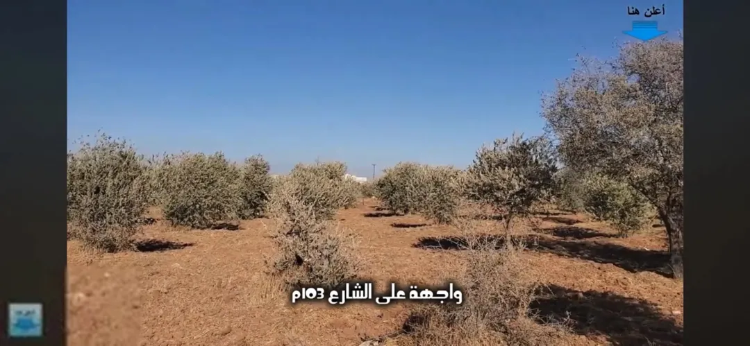 أرض للبيع في مادبا – منطقة الفيصلية