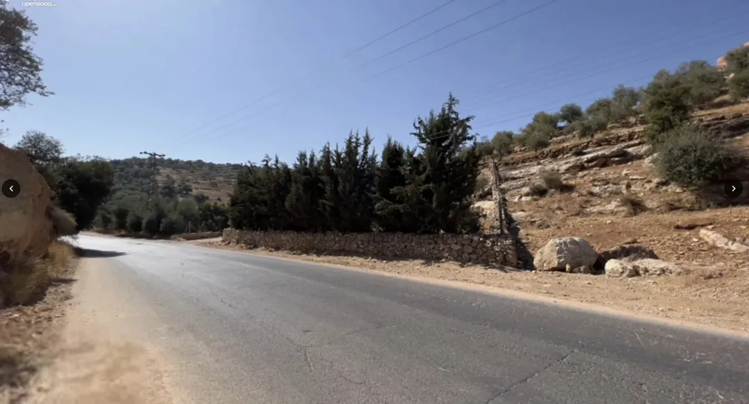 قطعة ارض مكونة من دونمان • مطله وموجوده في موقع مميز • مفروزه دونمان في بدر الجديدة مباشرة