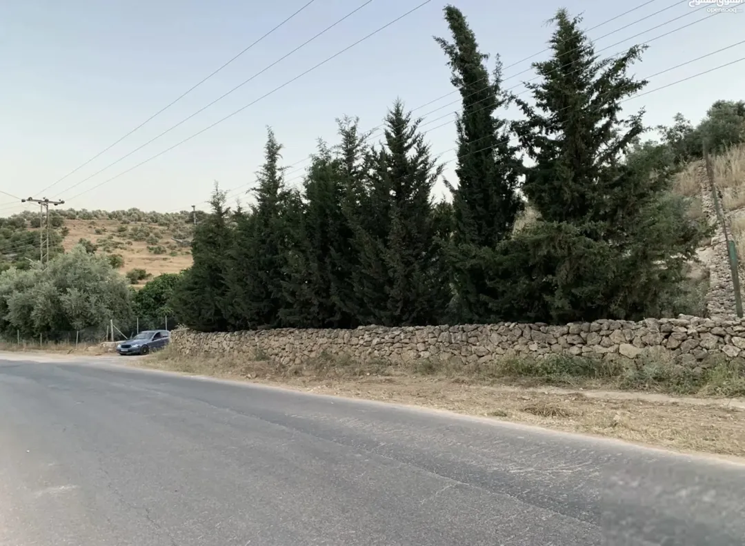 قطعة ارض مكونة من دونمان • مطله وموجوده في موقع مميز • مفروزه دونمان في بدر الجديدة مباشرة