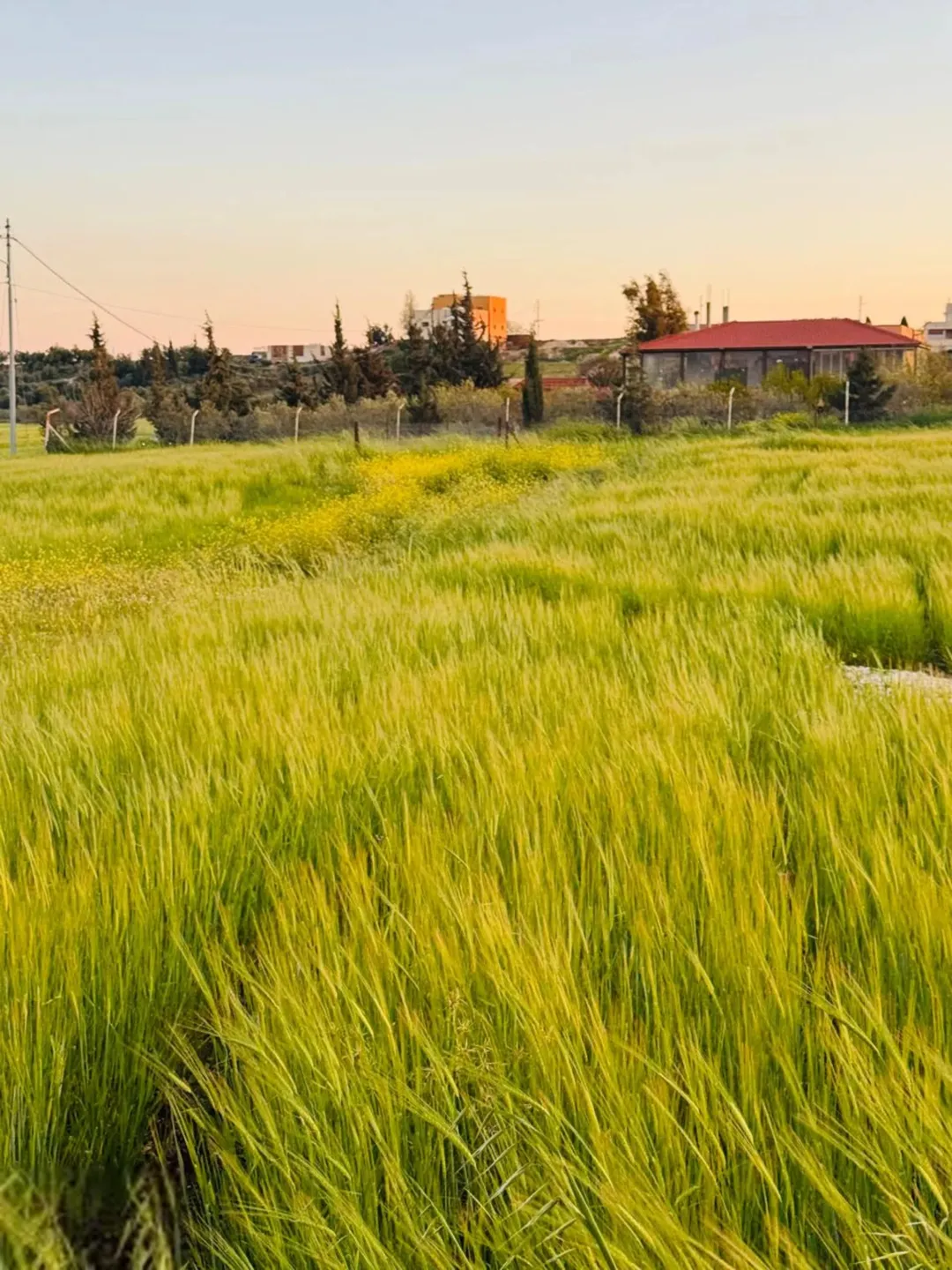 أرض سكنية مميزة للبيع في حسبان – ناعور