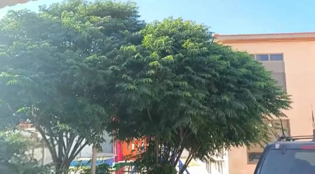 شاليه للبيع لقطه بسعر 65 الف. مطل ومرتفع اطلاله خرفيه على ثلاث شوارع — صورة 4