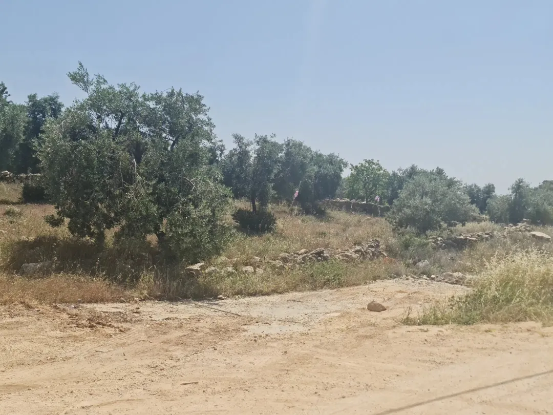 ارض مميزة للبيع في بدر الجديدة عمان حوض الكاشف