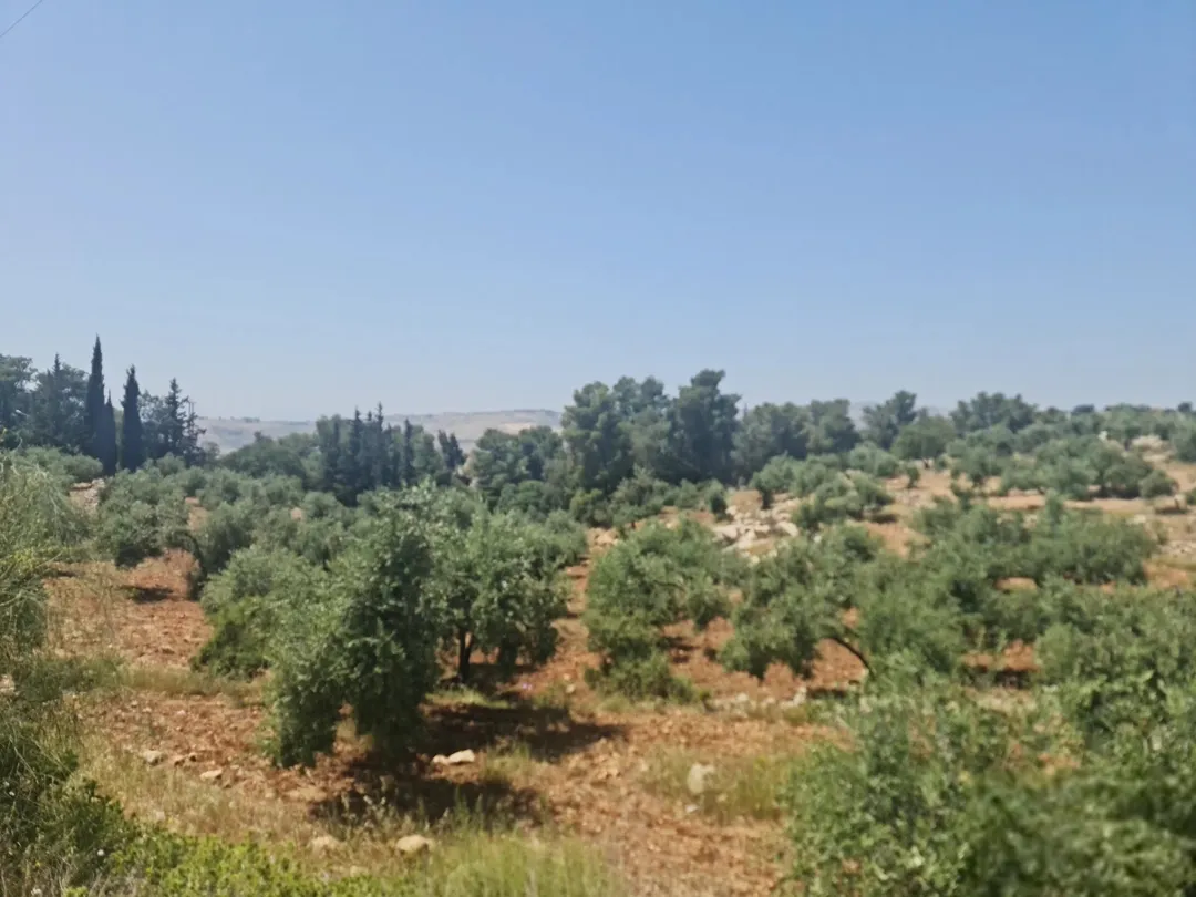 ارض مميزة للبيع في بدر الجديدة عمان حوض الكاشف