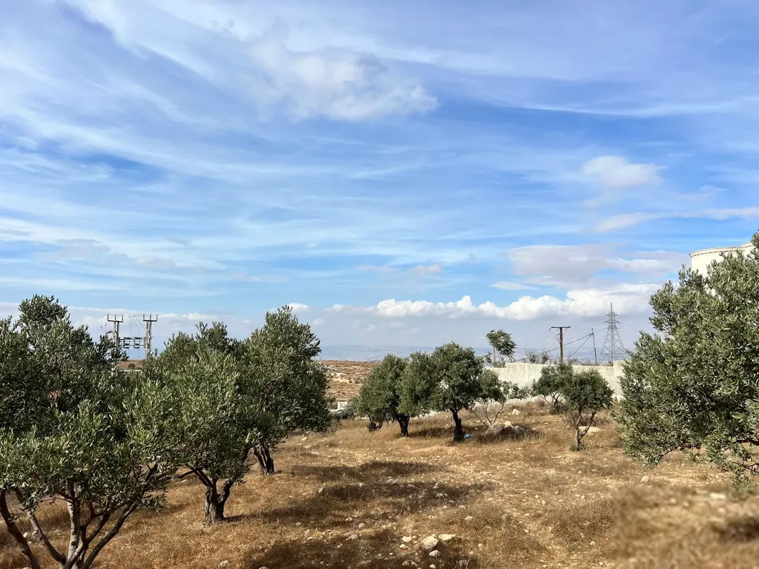 أرض على مرتفعات بإطلالة على عمان وجرش والسلط وعجلون — صورة 4