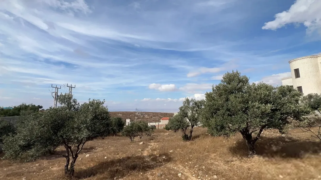 أرض على مرتفعات بإطلالة على عمان وجرش والسلط وعجلون — صورة 5