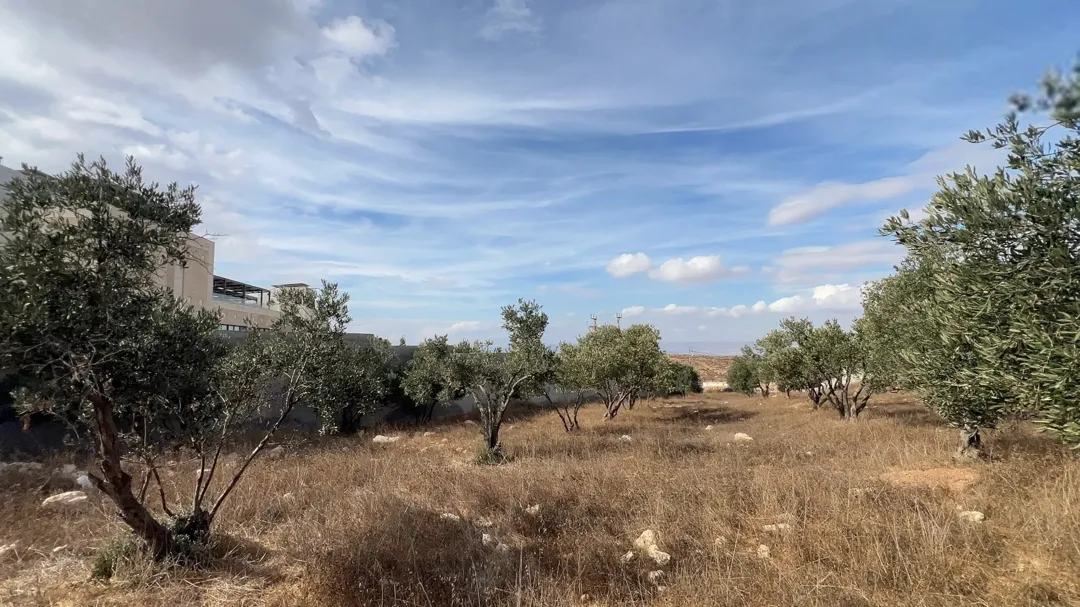 أرض على مرتفعات بإطلالة على عمان وجرش والسلط وعجلون