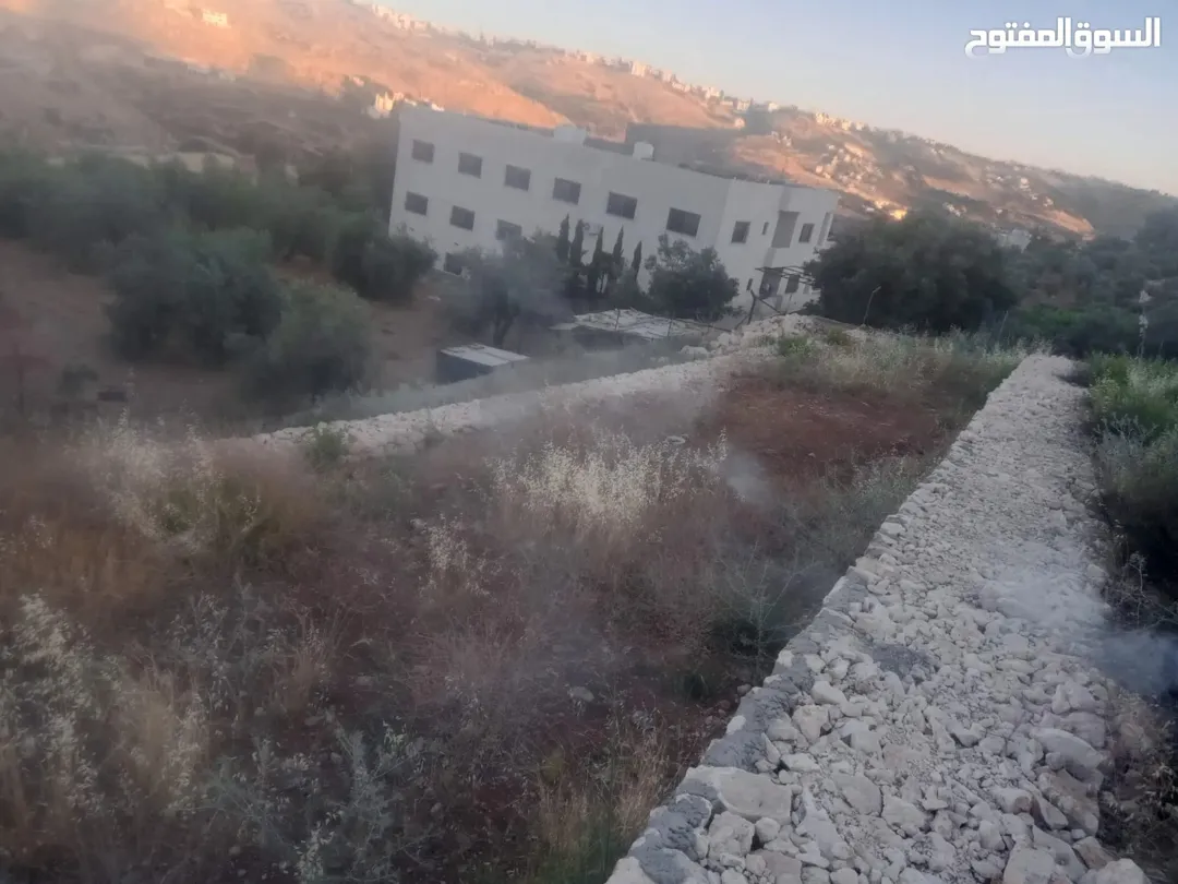 أرض مميزة للبيع في أبو النعير – إطلالة خلابة ومساحة واسعة