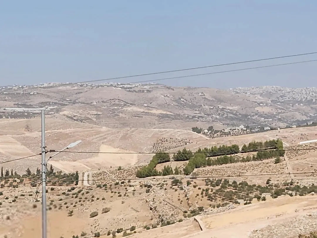 أرض زراعية للبيع في عراق الأمير بإطلالة مميزة ومساحة واسعة