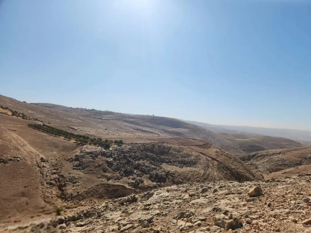 أرض زراعية للبيع في عراق الأمير بإطلالة مميزة ومساحة واسعة