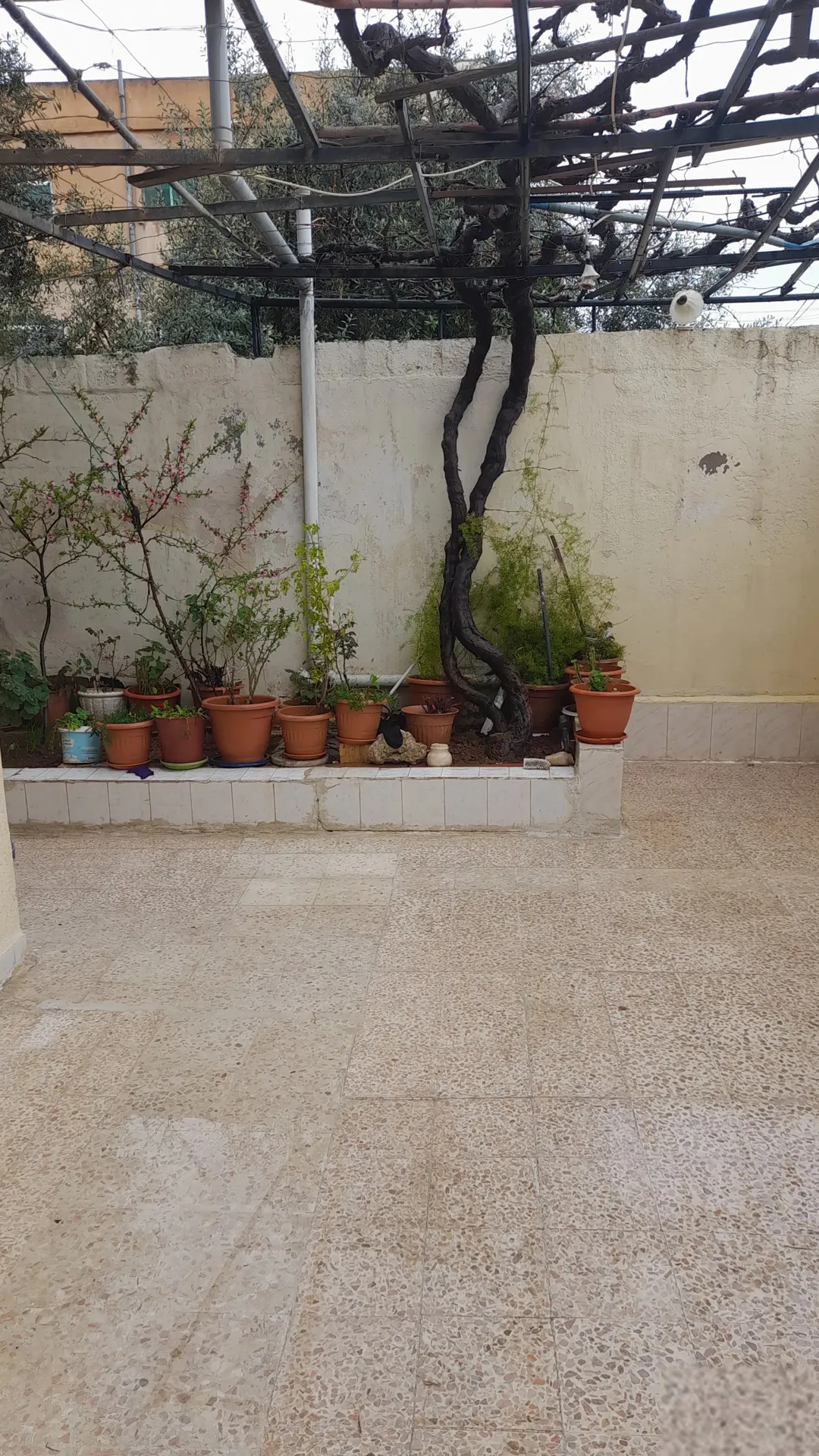 عمارة سكنية مميزة للبيع في سحاب – عمان