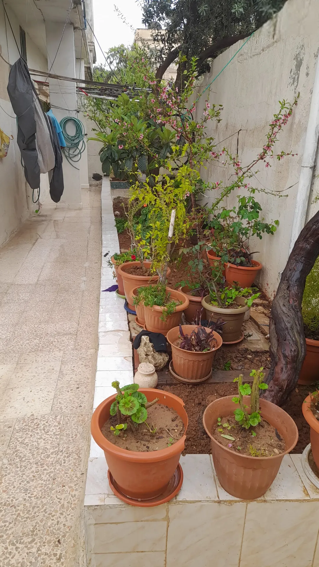 عمارة سكنية مميزة للبيع في سحاب – عمان
