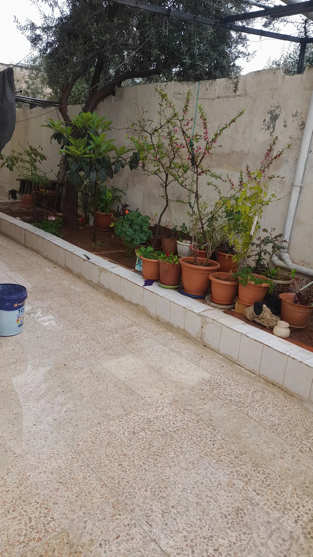 عمارة سكنية مميزة للبيع في سحاب – عمان